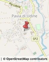 Scuole e Corsi di Lingua Pavia di Udine,33050Udine