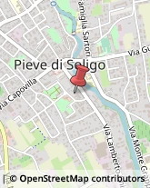 Ricerca e Selezione del Personale Pieve di Soligo,31053Treviso