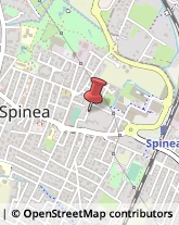 Fisiokinesiterapia - Medici Specialisti Spinea,30038Venezia