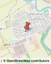 Fotoincisioni Salerano sul Lambro,26857Lodi