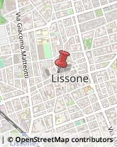 Consulenza alle Imprese e agli Enti Pubblici Lissone,20851Monza e Brianza