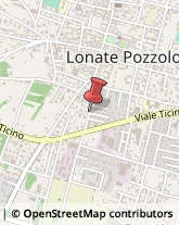 Consulenza Commerciale Lonate Pozzolo,21015Varese