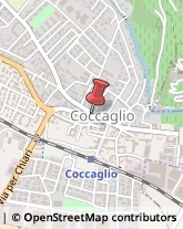 Istituti Finanziari Coccaglio,25030Brescia