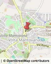 ,46049Mantova