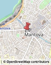 Librerie Mantova,46100Mantova