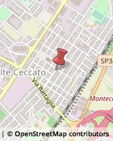 Abbigliamento Intimo e Biancheria Intima - Vendita Montecchio Maggiore,36075Vicenza