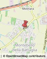 Maglieria - Dettaglio Montebello della Battaglia,27054Pavia