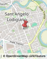 Agenzie ed Uffici Commerciali Sant'Angelo Lodigiano,26866Lodi