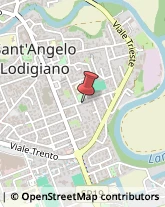 Pizzerie Sant'Angelo Lodigiano,26866Lodi