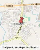 Alberghi Tribano,35020Padova