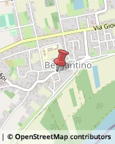 Notai Bergantino,45032Rovigo