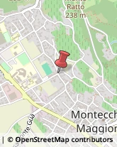 Panifici Industriali ed Artigianali Montecchio Maggiore,36075Vicenza