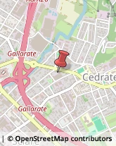 Articoli per Ortopedia Gallarate,21013Varese