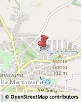 ,46049Mantova