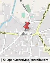 Giornalai Cigliano,13043Vercelli