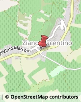 Autotrasporti Ziano Piacentino,29010Piacenza