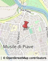 Riproduzione Disegni - Servizio Musile di Piave,30024Venezia