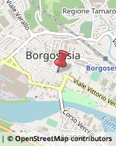 Macellerie Borgosesia,13011Vercelli