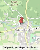 Acquari ed Accessori Castelcucco,31030Treviso