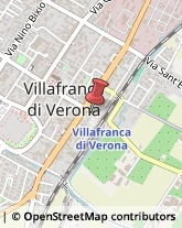 Animali Domestici - Toeletta Villafranca di Verona,37069Verona