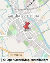 Tela Candia Lomellina,27031Pavia