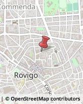 Chiropratica Rovigo,45100Rovigo