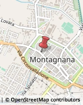 Bottoni Montagnana,35044Padova