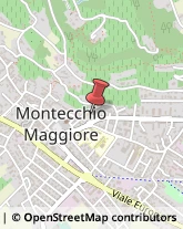 Uffici Temporanei Montecchio Maggiore,36075Vicenza