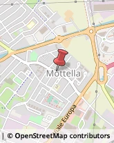 Articoli per Ortopedia San Giorgio di Mantova,46030Mantova