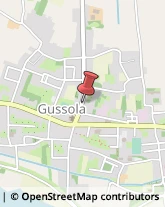 Estetiste Gussola,26040Cremona