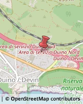 Stazioni di Servizio e Distribuzione Carburanti Duino-Aurisina,34011Trieste