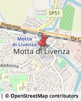 Erboristerie Motta di Livenza,31045Treviso