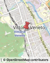 Consulenza Informatica Vittorio Veneto,31029Treviso