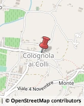 Osterie e Trattorie Colognola ai Colli,37030Verona