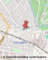 Elettrodomestici da Incasso Coccaglio,25030Brescia