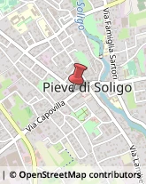 Articoli per Ortopedia Pieve di Soligo,31053Treviso