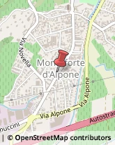 Pediatri - Medici Specialisti Monteforte d'Alpone,37032Verona