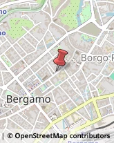 Piante e Fiori Artificiali - Ingrosso Bergamo,24121Bergamo