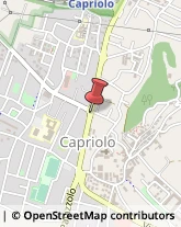 Ponteggi Edilizia Capriolo,25031Brescia