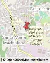 Collegi Varese,21100Varese