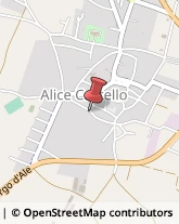 Giardinaggio - Servizio Alice Castello,13040Vercelli