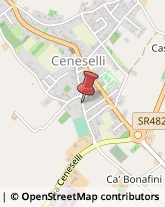 Alimentari Ceneselli,45030Rovigo