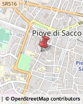 Vivai Piante e Fiori Piove di Sacco,35020Padova