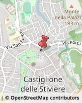 Giardinaggio - Servizio Castiglione delle Stiviere,46043Mantova