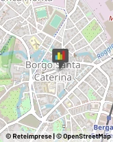 Torrefazione di Caffè ed Affini - Ingrosso e Lavorazione Bergamo,24124Bergamo