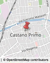 Parrucchieri Castano Primo,20022Milano