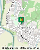Biologia - Studi e Laboratori Capriano del Colle,25020Brescia