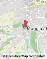 Comuni e Servizi Comunali Muggia,34015Trieste