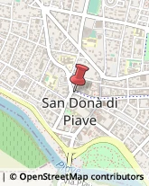Piante e Fiori - Dettaglio San Donà di Piave,30027Venezia