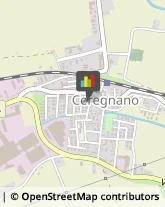 Poste Ceregnano,45010Rovigo